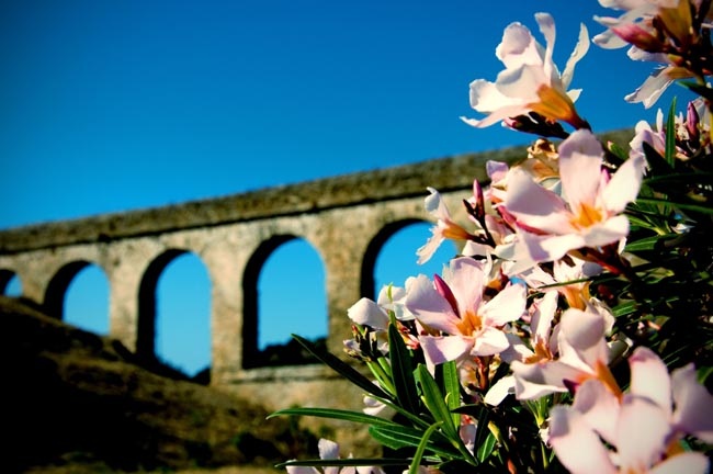 Abel Martín consigue el primer premio del concurso de fotografía "Estas en el Medio. Cuídalo"