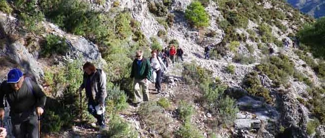 Camino de los especieros hasta Jayena