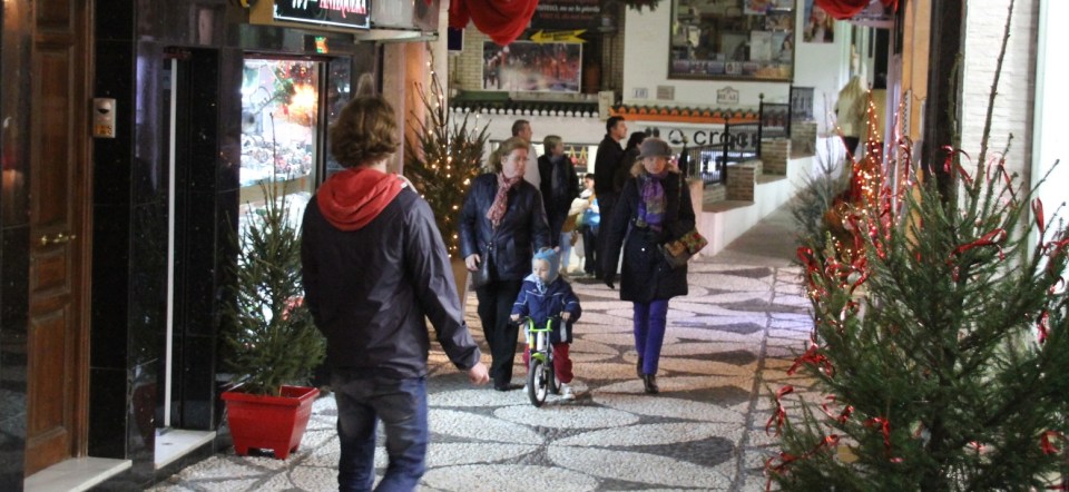 Los árboles de Navidad en Almuñécar serán replantados