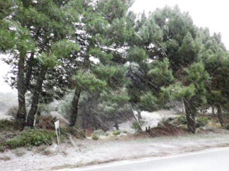 NEVADA EN LOS PRADOS LOPERA