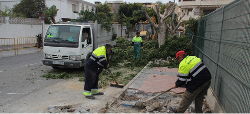 Retirada de  los ficus de la calle Hurtado de Mendoza