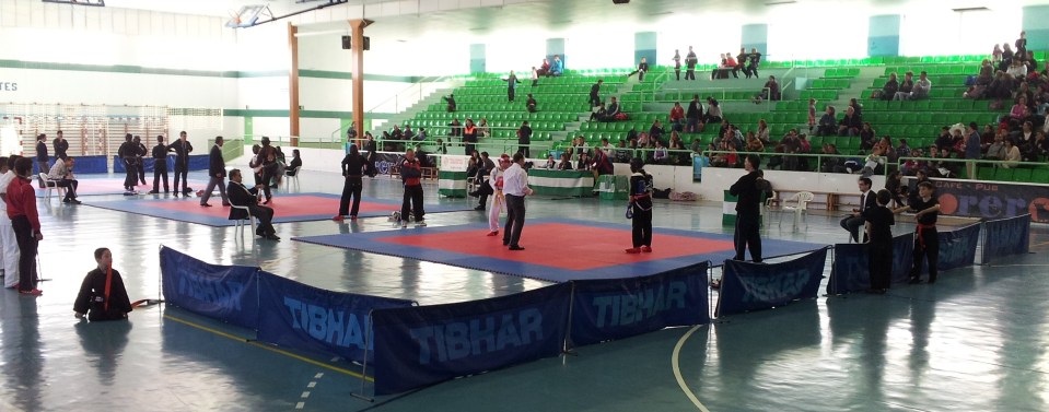 Almuñécar acogió el III encuentro de la Liga Andaluza de Kenpo