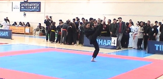 El Kenpo sexitano volvió a destacar en el Campeonato de Andalucía 2013 El Kenpo sexitano volvió a destacar en el Campeonato de Andalucía 2013