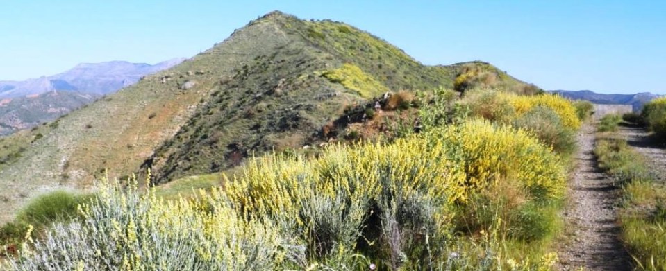 Una veintena de senderistas sexitanos subieron a Cerro Albita