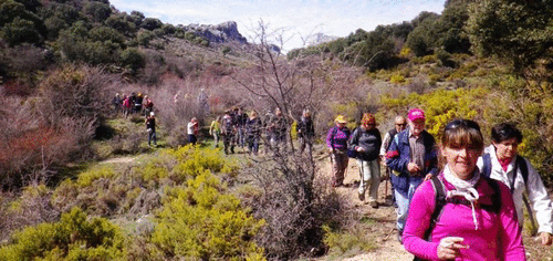 37 senderistas sexitanos disfrutaron de una buena jornada por la Sierra de Huétor