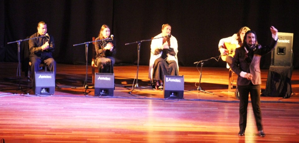 El bailaor sevillano Juan de Juan dio una exhibición de técnica y energía II