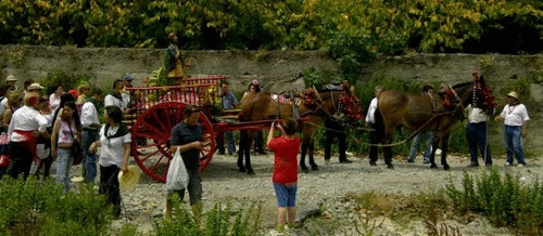 la Hermandad Virgen Madre y San Isidro Labrador de Torrecuevas celebrará, por segundo año consecutivo, la Romería de San Isidro, el próximo día 19 de mayo