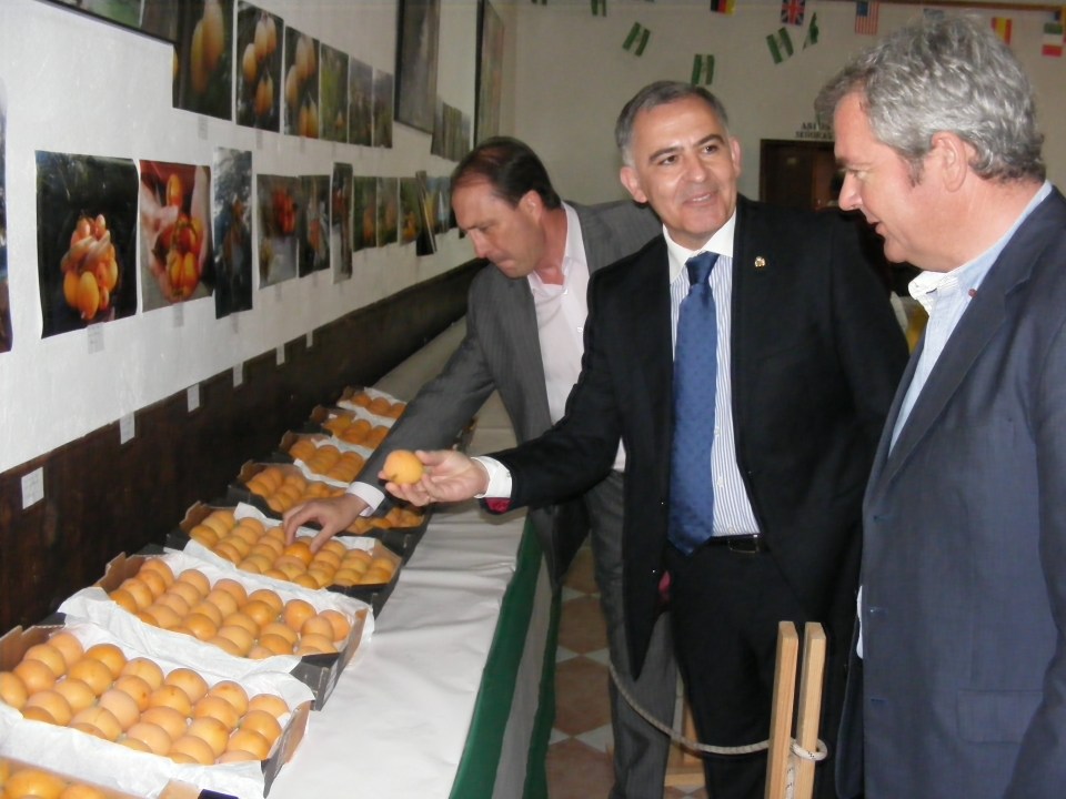 Santiago Pérez recibe la Níspola de Oro en Otívar II