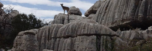 Senderismo por el Torcal de Antequera