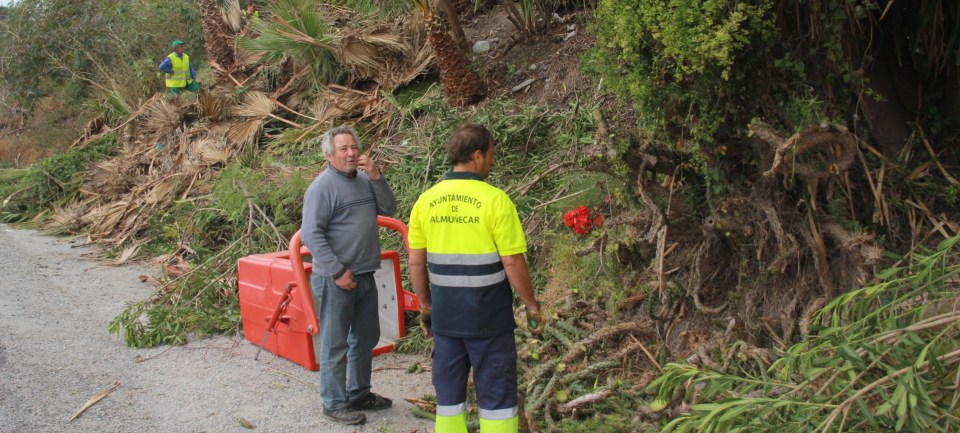 El Ayuntamiento de Almuñécar acomete la limpieza y poda de los accesos a Cotobro y El Montañés