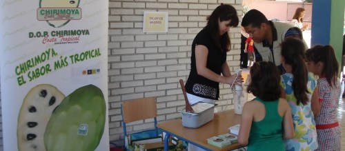 El CEIP San Miguel celebra los VI Talleres Domésticos