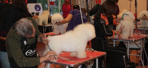 II Concurso Nacional Canino y II Trofeo “Ciudad de Almuñécar”