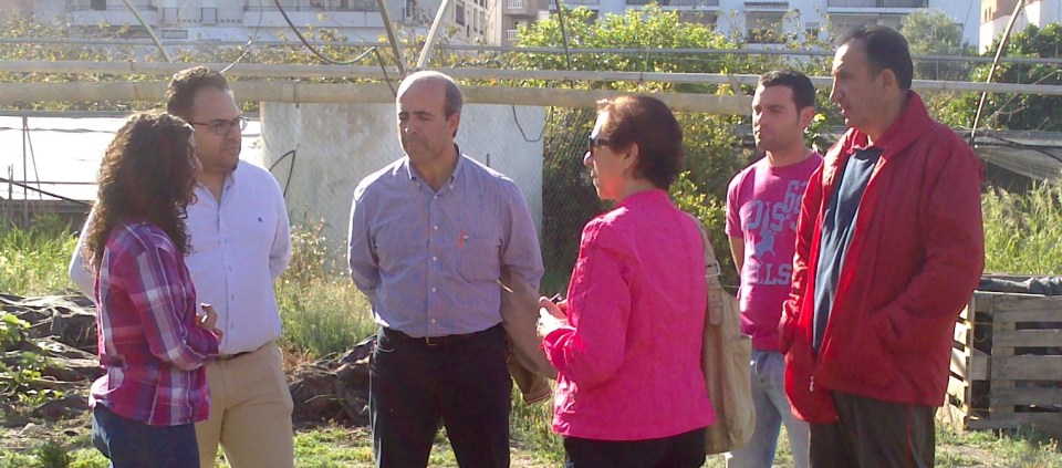 Los alumnos del Colegio Las Gaviotas de La Herradura participan en un huerto escolar ecologico 2