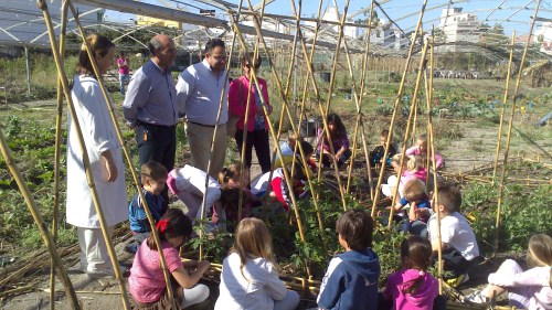 Los alumnos del Colegio Las Gaviotas de La Herradura participan en un huerto escolar ecologico