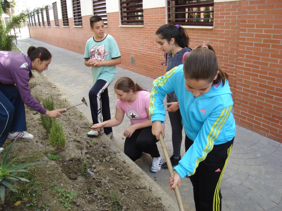 Medio Ambiente y el IES Puerta del Mar crean un jardín con plantas aromáticas 2