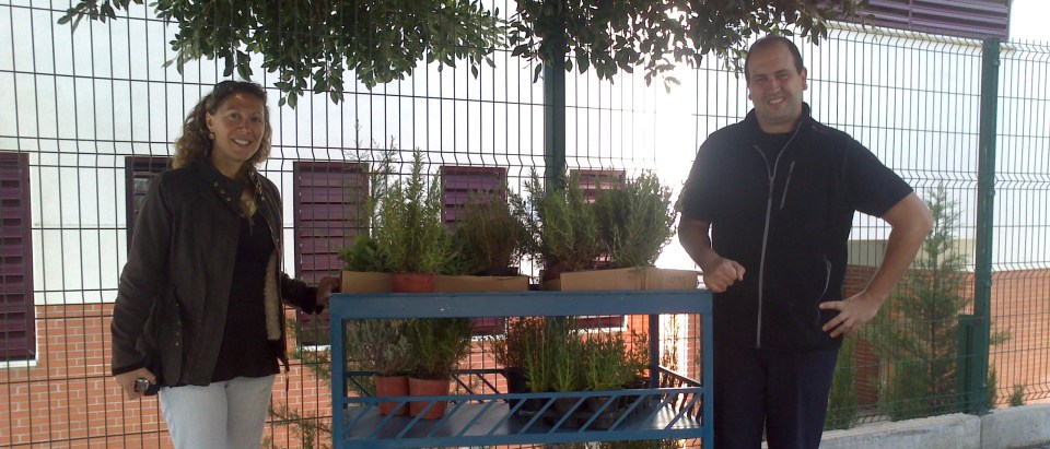 Medio Ambiente y el IES Puerta del Mar crean un jardín con plantas aromáticas