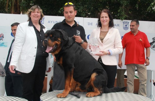 Un Rottweiler gana el II Concurso Canino Ciudad de Almuñécar 2