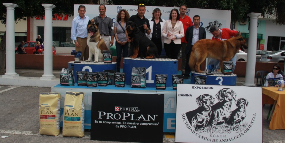 Un Rottweiler gana el II Concurso Canino Ciudad de Almuñécar