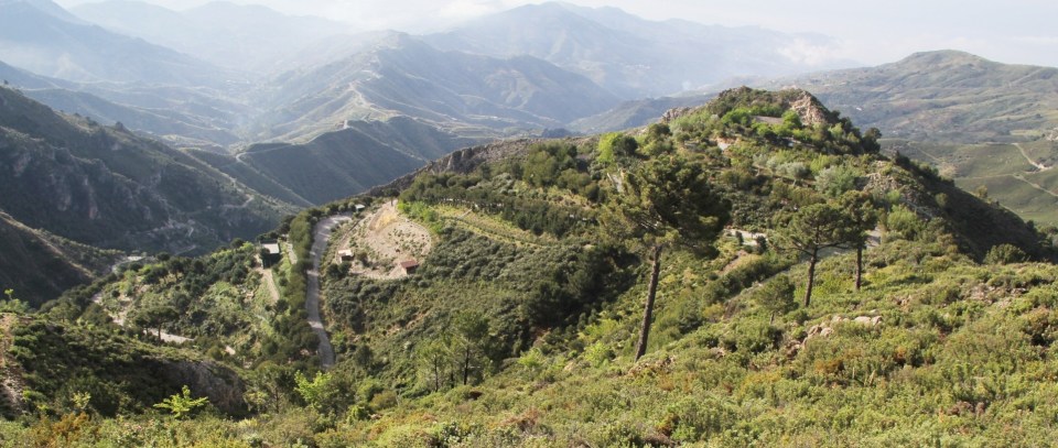 Vecinos de los pagos almuñequeros de Los Bañuelos, Peña Escrita y Río Seco ya pueden disfrutar de la TDT Vecinos de los pagos almuñequeros de Los Bañuelos, Peña Escrita y Río Seco ya pueden disfrutar de la TDT