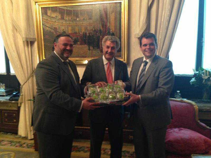 Proyecto Chirimoya Presidente Congreso Diputados Madrid