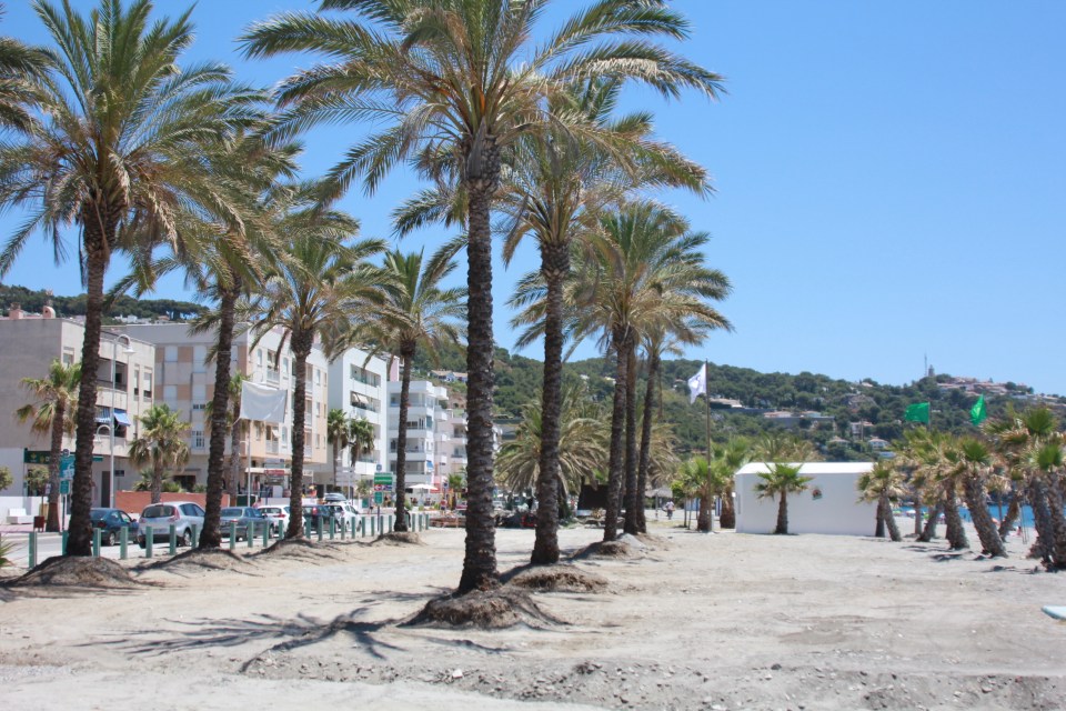 Finalizan los trabajos de desmonte y limpieza de la plaza de las maderas de la playa de La Herradura Finalizan los trabajos de desmonte y limpieza de la plaza de las maderas de la playa de La Herradura