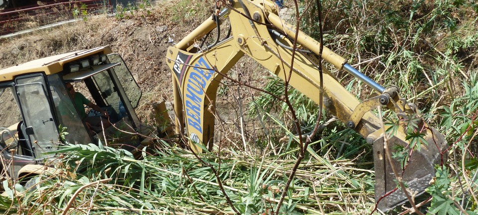 Labores de limpieza en un barranco del barrio El Moruno