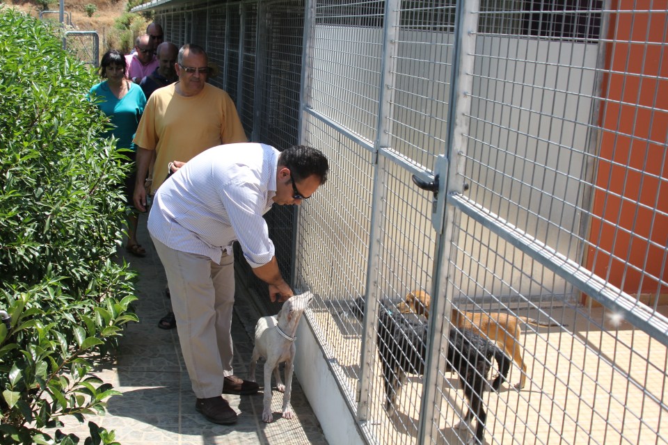 Conociendo la residencia canina y felina situada en el pago Cantalobos Conociendo la residencia canina y felina situada en el pago Cantalobos