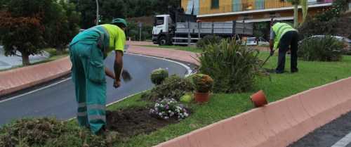 Almuñécar da color a  las zonas ajardinadas