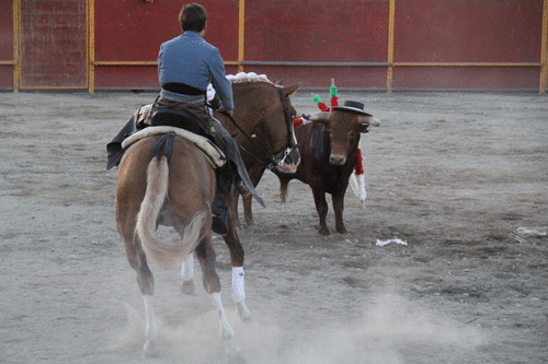 Salida a hombros de los rejoneadores Lea Vicens y Sebastián Fernández 