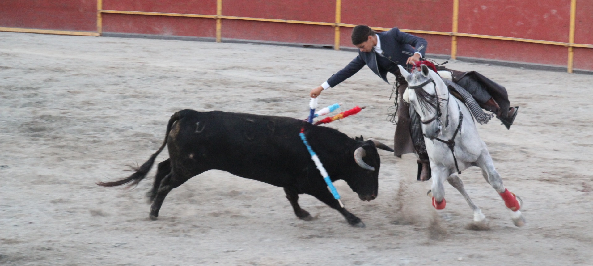 Salida a hombros de los rejoneadores Lea Vicens y Sebastián Fernández 