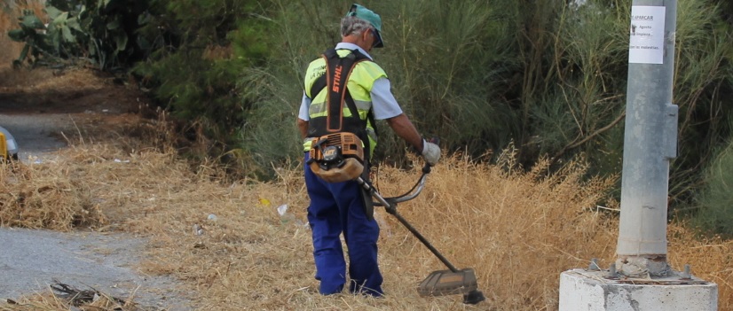 Se intensifica la campaña de limpieza y desbroce de caminos públicos