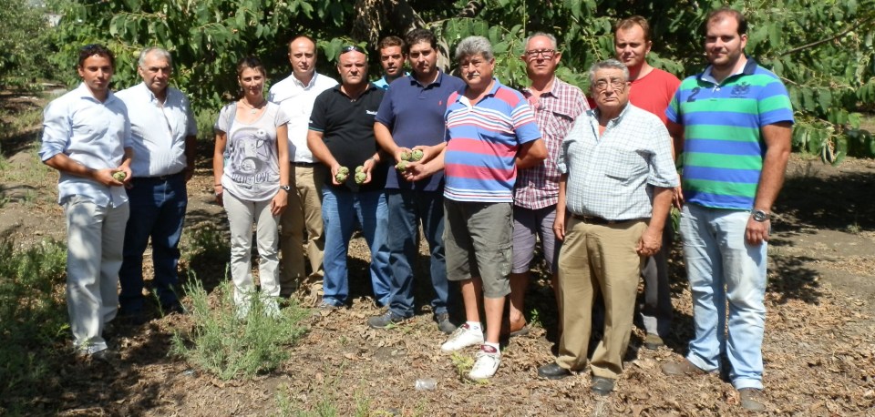 El pasado temporal afectará a la producción de subtropicales