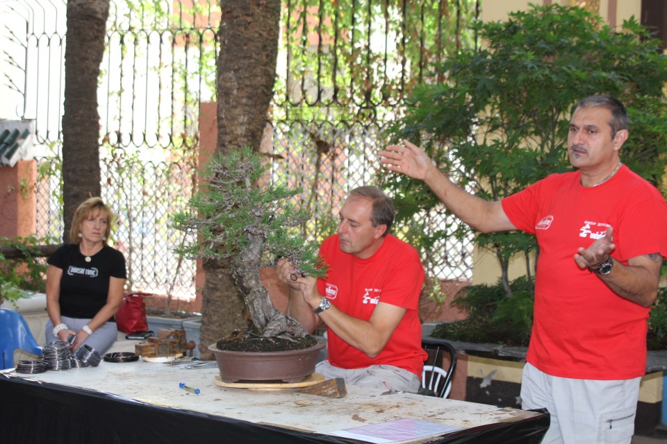 Interesante conferencia del gran maestro italiano del bonsái Giorgio Castagneri 