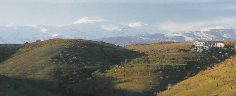 Bodega Barranco Oscuro, en la Alpujarra granadina