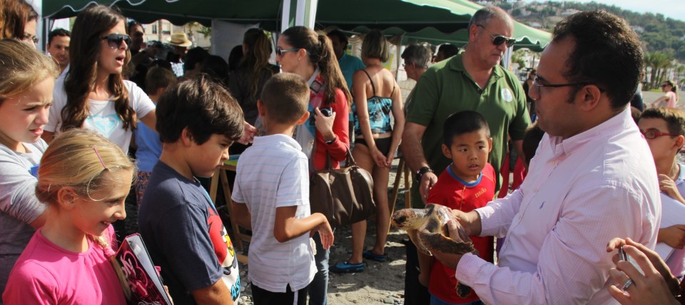 Las aguas de Cerro Gordo cuentan desde ayer con dos tortugas bobas
