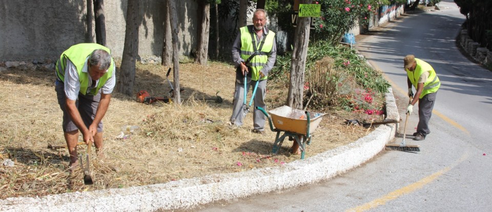 Limpieza de los accesos a Las Palomas y Cármenes del Mar