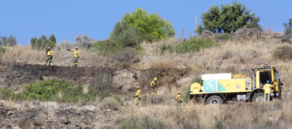 Un incendio quema unos 3000 m2 de monte bajo y aguacates