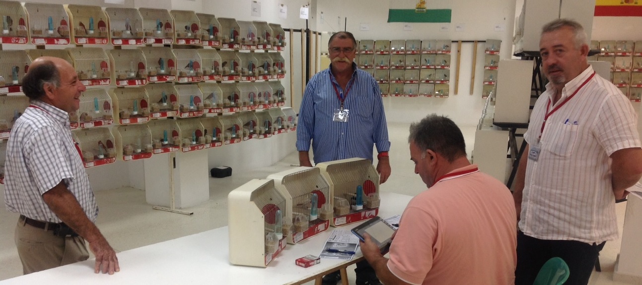 Un total de 1436 ejemplares participan el XVII Concurso Ornitológico