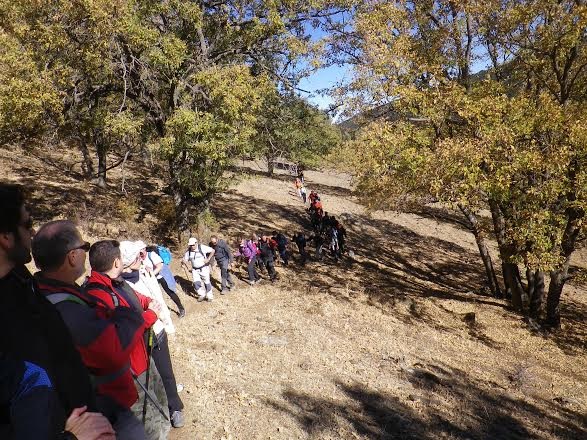 Medio centenar de senderistas sexitanos recorrieron la Dehesa de Camarate 2