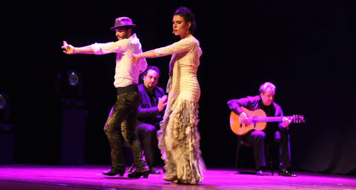 Espectáculo 8 Códigos