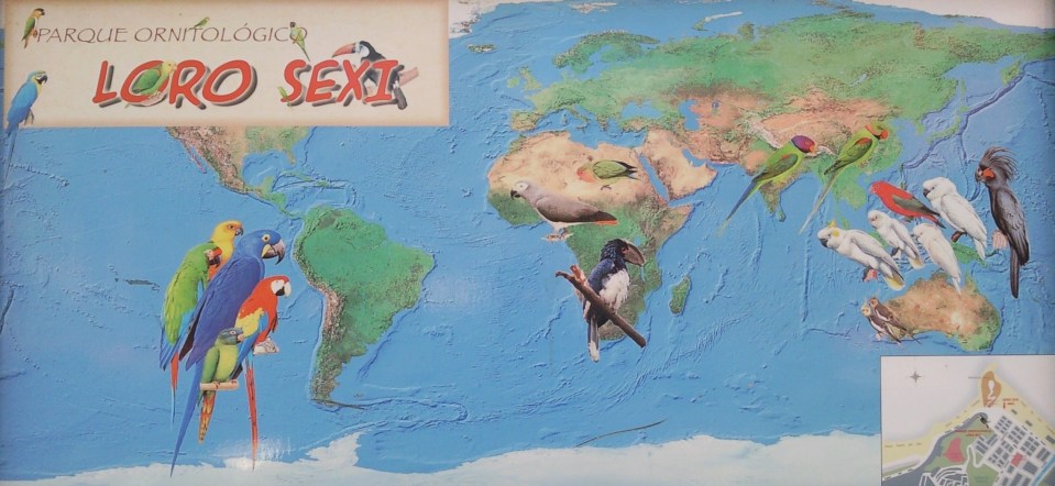 El Ayuntamiento de Almuñécar ofrecerá visitas guiadas a los escolares sexitanos al parque Loro Sexi, a partir de febrero