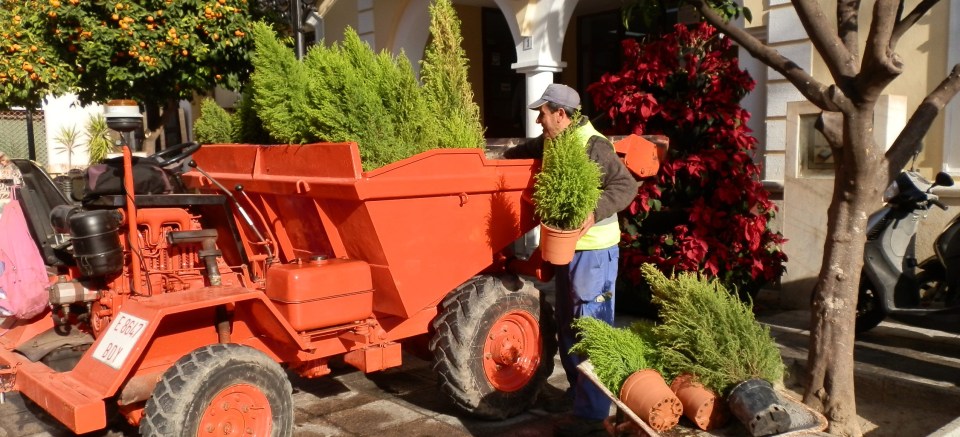 El Ayuntamiento de Almuñécar retira los árboles navideños para darle una segunda vida