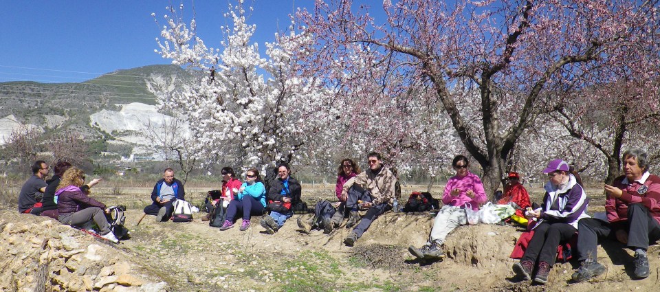 COMIDA BAJO ALMENDROS EN FLOR EN LA RUTA SENDERISTA 2