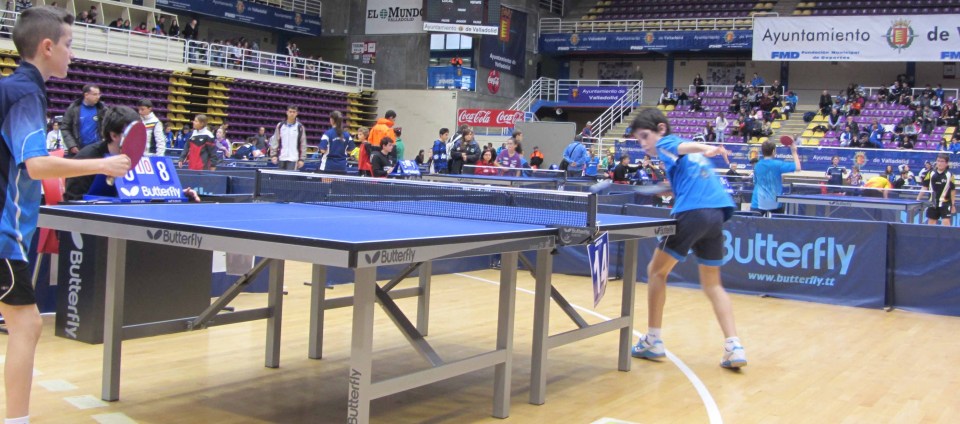 Los equipos del CTM Almuñécar hacen pleno en la última jornada