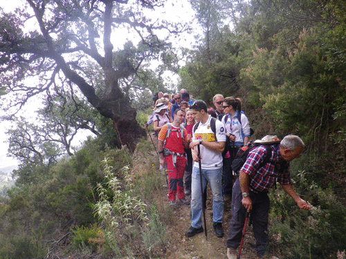 052ad9aae0b40ca103e8881b82ccd038