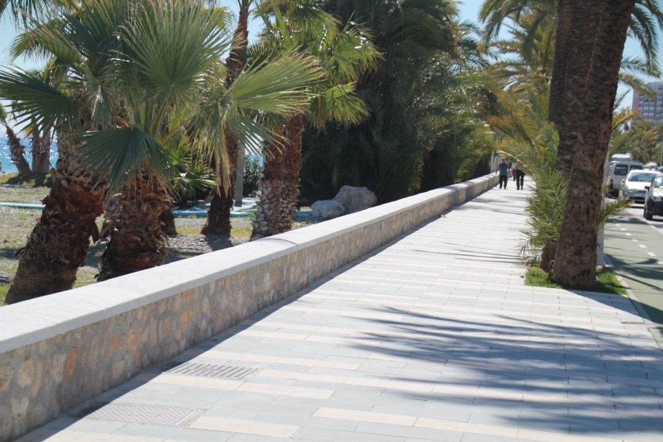 VISTA PARCIAL PASEO VELILLA MEJORADO