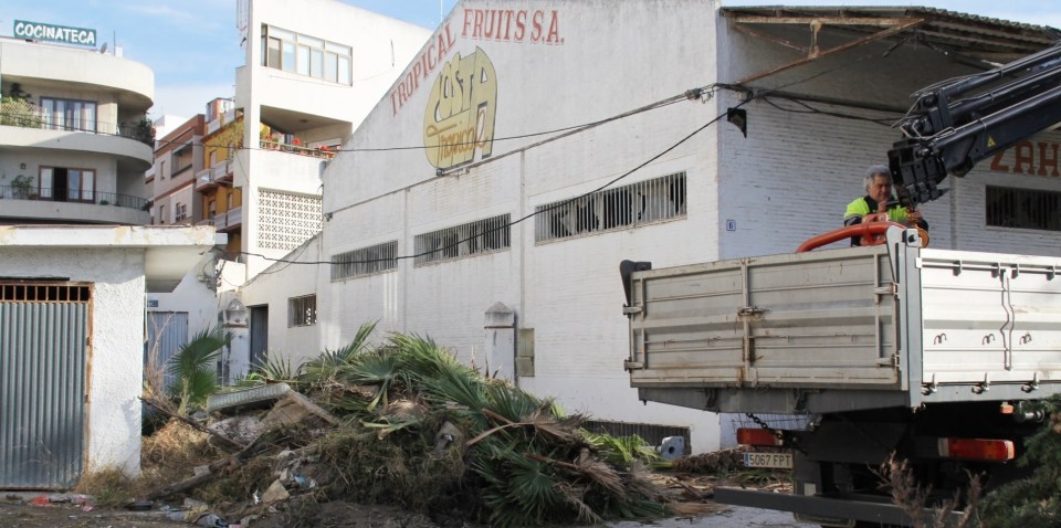ANTIGUA SEDE LONJA  Y  TROPICAL FRUITS JUNTO ZONA URBANA ALMUIÑECAR 2