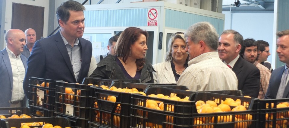 Carmen Crespo destaca el apoyo del Gobierno al sector con la rebaja fiscal DELEGADA GOBIERNO VISITA NOVOFRUT 14 2
