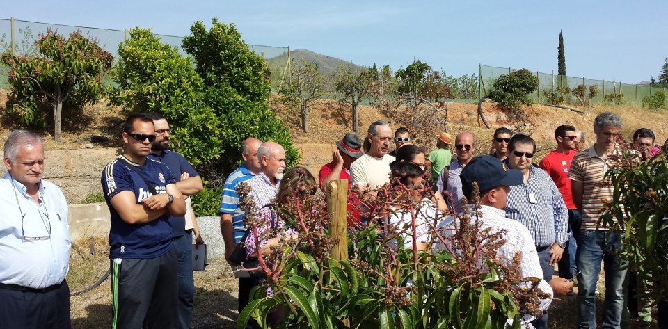 Agricultores en la visita a la finca "La Nacla" AGRICULTORES EN LA VISITA A LA NACLA 14 2
