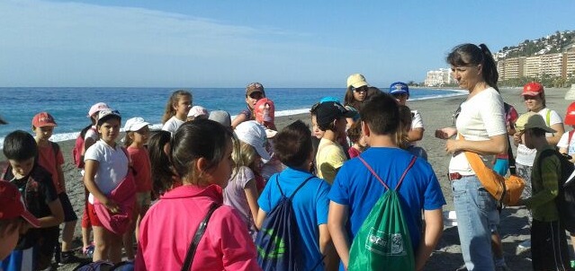 ALUMNOS EN PLAYA VELILLA Y TESORILLO CAMPAÑA COSTA 14 2